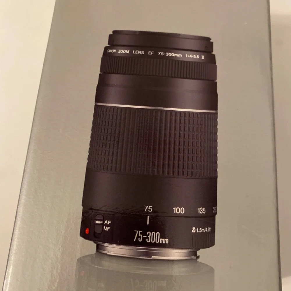 Canon EF 75-300mm f/4-5.6 lens
